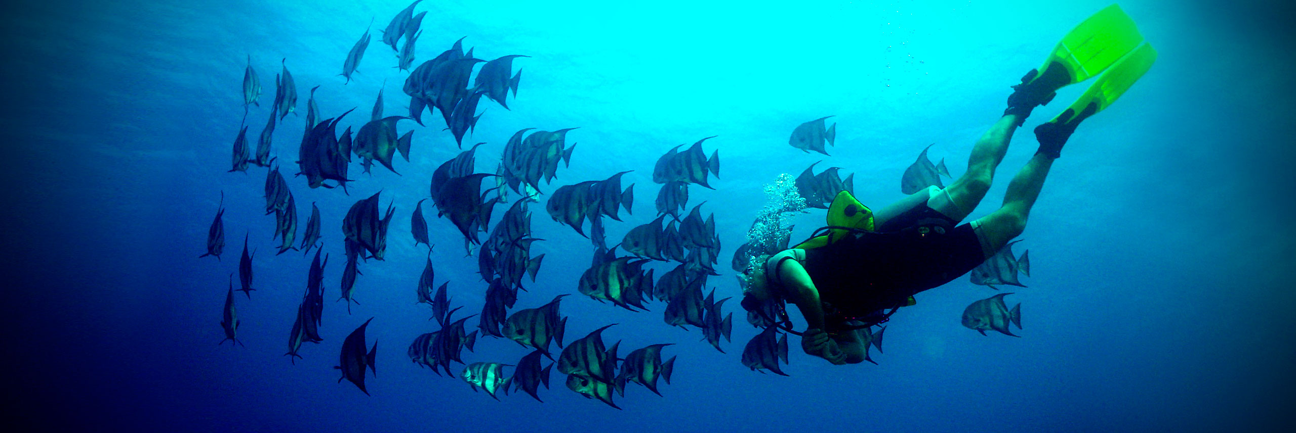 Plongée Cayo Santa María.